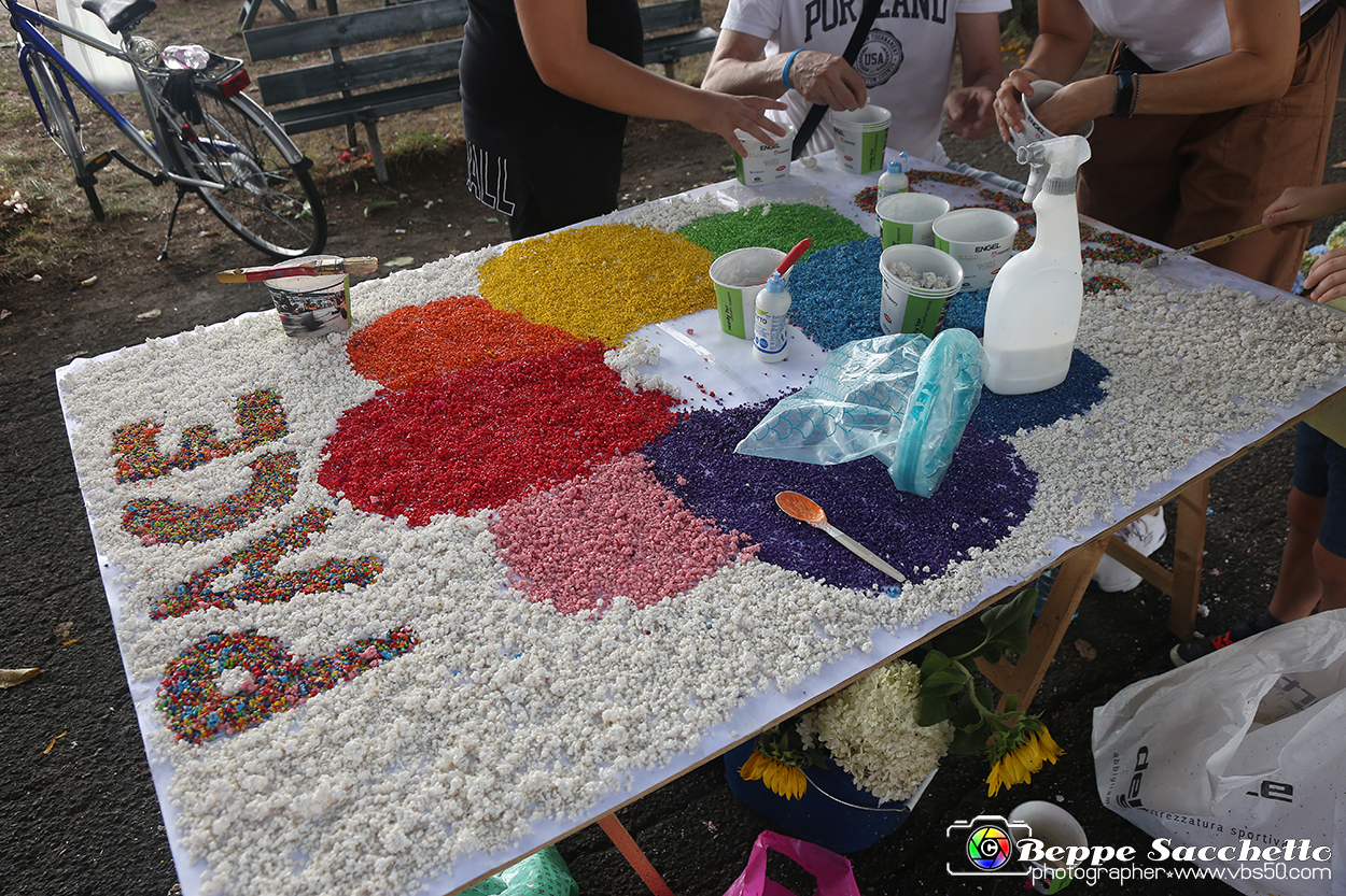 VBS_9718 - Infiorata di Villanova d'Asti 2023.jpg